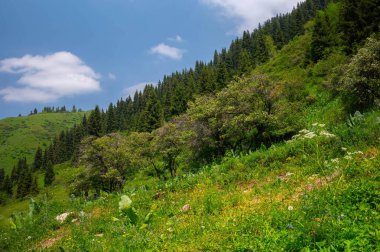 Dağları ve mavi gökyüzü olan güzel bir manzara.