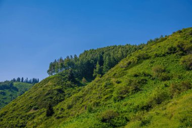 Doğanın güzel manzarası