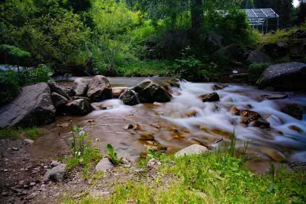 Yazın dağ nehri