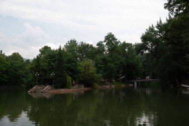 Parktaki gölün güzel manzarası