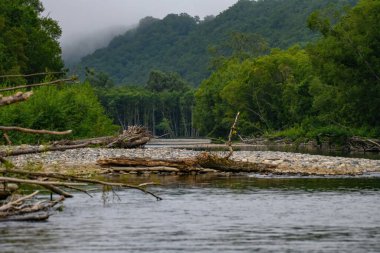 Dağlardaki nehrin güzel manzarası