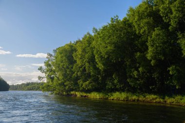 Hollanda 'daki Juist Adası.