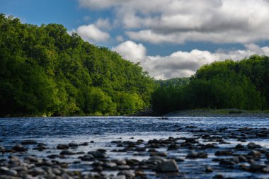 Ağaçları ve mavi gökyüzü olan nehir