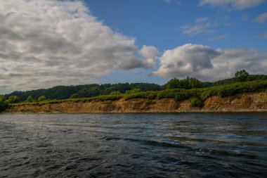 Yeşil ormanı olan güzel bir nehir.