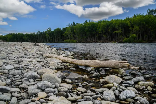 Arka planda nehir ve göl olan güzel bir manzara.