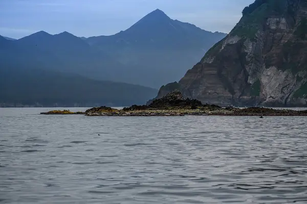 Alaska Ulusal Parkı, Pasifik Okyanusu