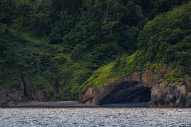 Denizdeki bir kayanın dikey görüntüsü.