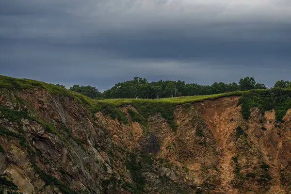 Kasvetli bir günde yeşil ağaçlı kayalık bir uçurumun dikey görüntüsü.