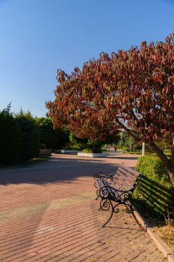 Şehrin en güzel parkı.