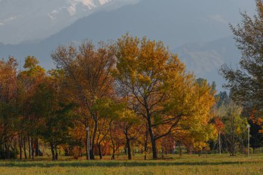 Dağlarda sonbahar, güzel sonbahar manzarası. Renkli ağaçlar, tepeler, çayırlar, dağlar ve bulutlu mavi gökyüzü..