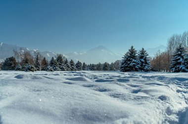 beautiful snowy winter landscape with snow covered trees