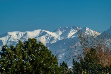 Güzel kış dağ manzarası