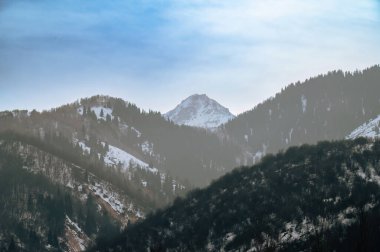 Dağlarda karla kaplı ağaçlarla kaplı güzel bir manzara.