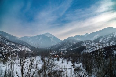 Karla kaplı ağaçlarla kaplı kış manzarası