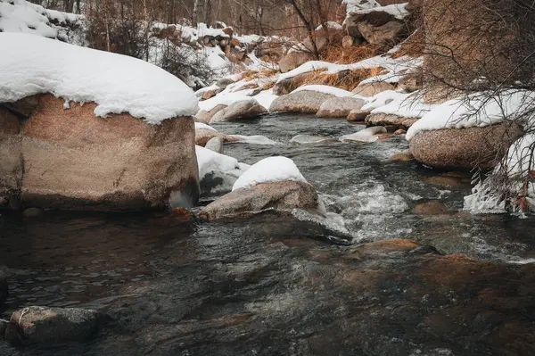 Nehirli kış manzarası