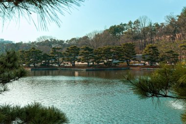 Ağaçlı ve yeşil yapraklı güzel sonbahar manzarası