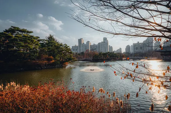 Şehir parkının güzel manzarası