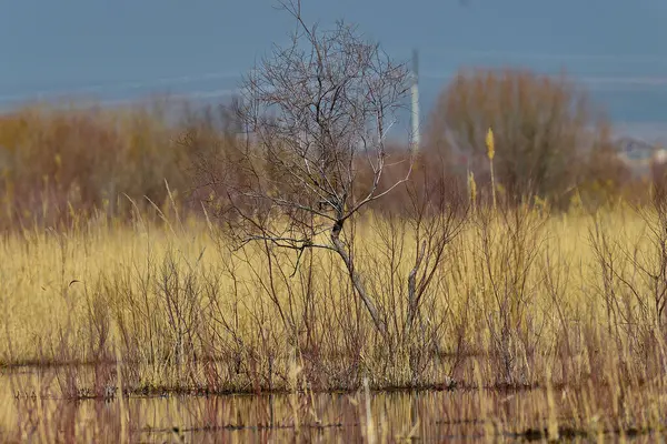 Doğanın güzel manzarası