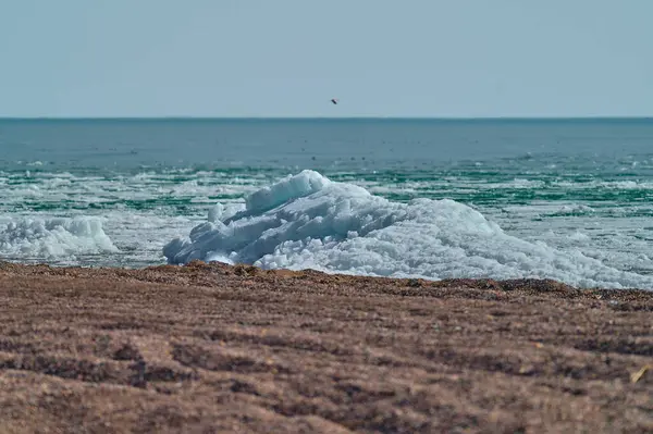 Deniz kıyısının manzarası