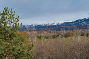 Kışın dağın manzarası.