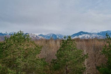 Arkaplanda dağların ve gökyüzünün görüntüsü