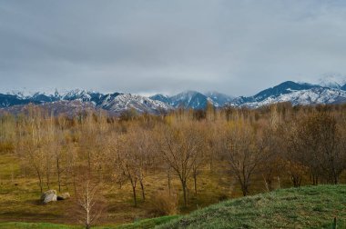 Dağ vadisi manzarası