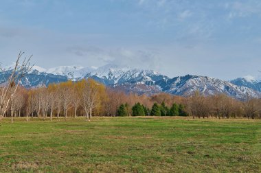 Karlı ve dağlı güzel bir manzara.
