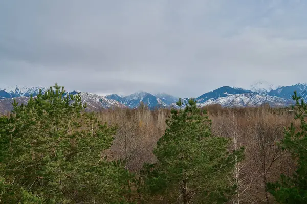 Arkaplanda dağların ve gökyüzünün görüntüsü