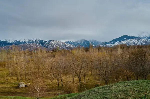 Dağ vadisi manzarası