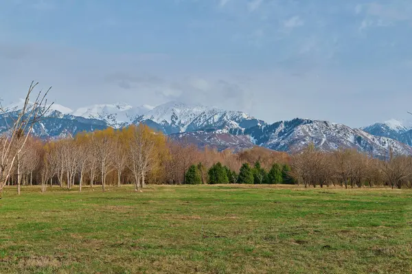 Karlı ve dağlı güzel bir manzara.