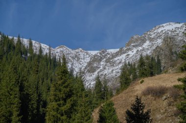 Dağlı ve karlı bir dağ manzarası