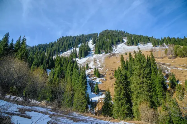 Dağın güzel manzarası