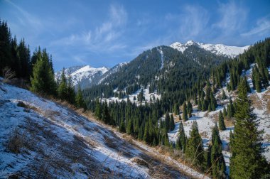 Karda kış dağı manzarası