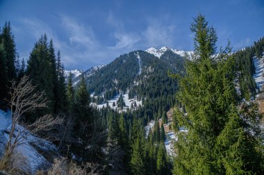 Dağların güzel manzarası