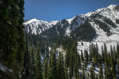 Dağların güzel manzarası