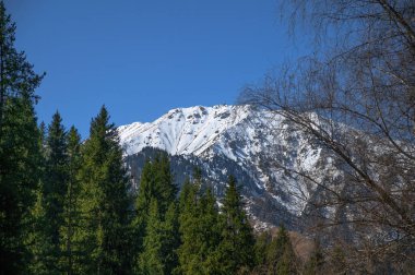 Dağlardaki güzel kış manzarası