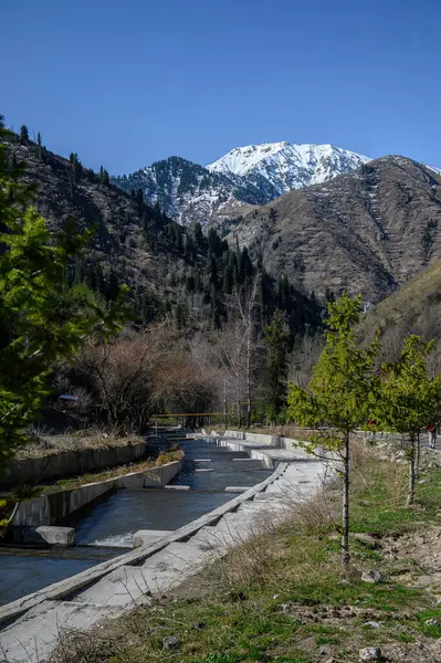 Dağlardaki nehir manzarası