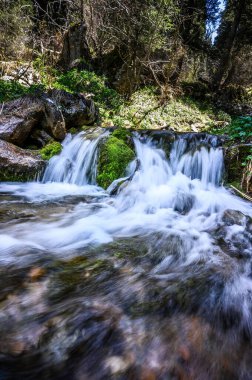 Ormanda güzel bir şelale