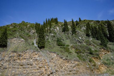 Dağları ve ağaçları,