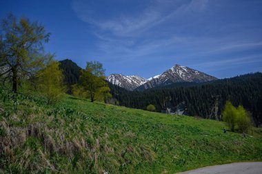 Dağlardaki güzel dağ manzarası
