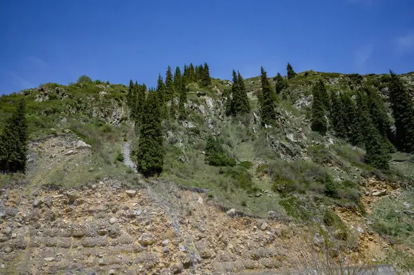 Dağları ve ağaçları,