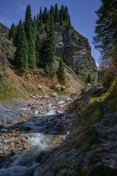 Dağlardaki nehrin güzel manzarası.