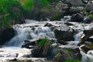 Ormanda güzel bir şelale