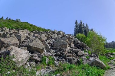 Dağları ve ormanı olan güzel bir manzara.