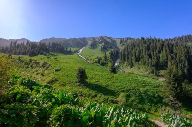 Doğanın güzel manzarası