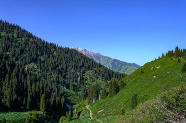 Dağ manzarası, Kafkas dağları