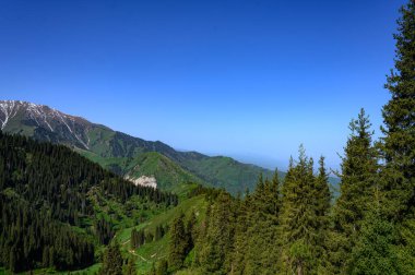 Dağlardaki güzel dağ manzarası