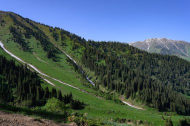 Dağ yolu olan güzel bir yaz manzarası. yüksek kaliteli fotoğraf