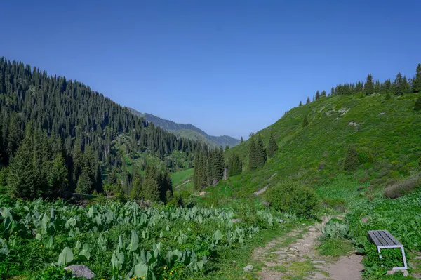 Doğanın güzel manzarası