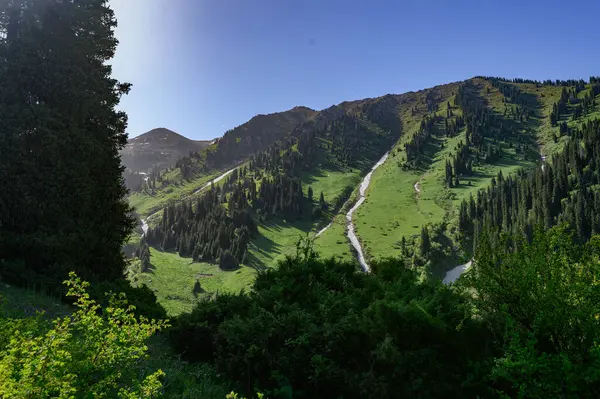 Dağlı güzel bir manzara.